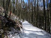 Salita nella bella Valzurio stracolma di neve fino alla Baita Bruseda (1500 m.) il 27 marzo 2010 - FOTOGALLERY